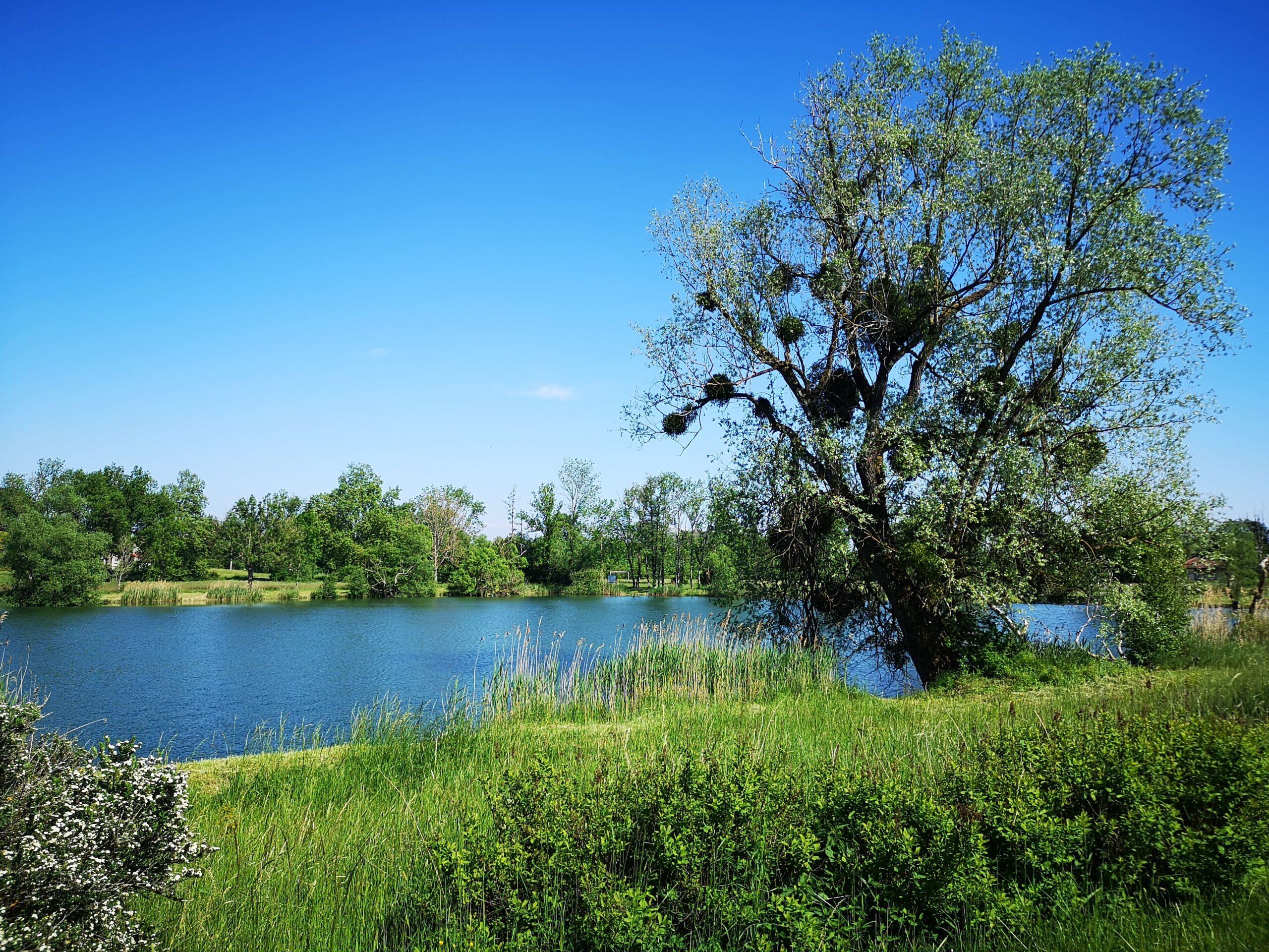 Gite avec etang - gite lorraine